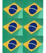 Bandeira de Pano do Brasil Medida 1,42 mts x 1,25 cm sem cabo - 01 unidade